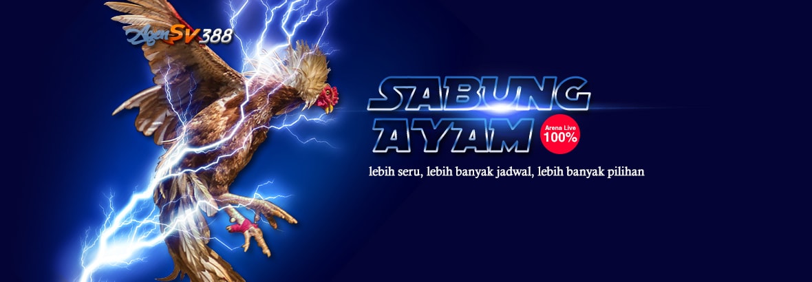 Sabung Ayam Paling Seru